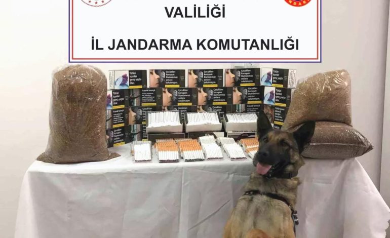 Afyonkarahisar’da Kaçak Tütün Baskını