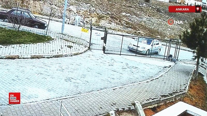Ankara’da beslediği sokak köpekleri çocuklara saldırırken seyirci kaldı