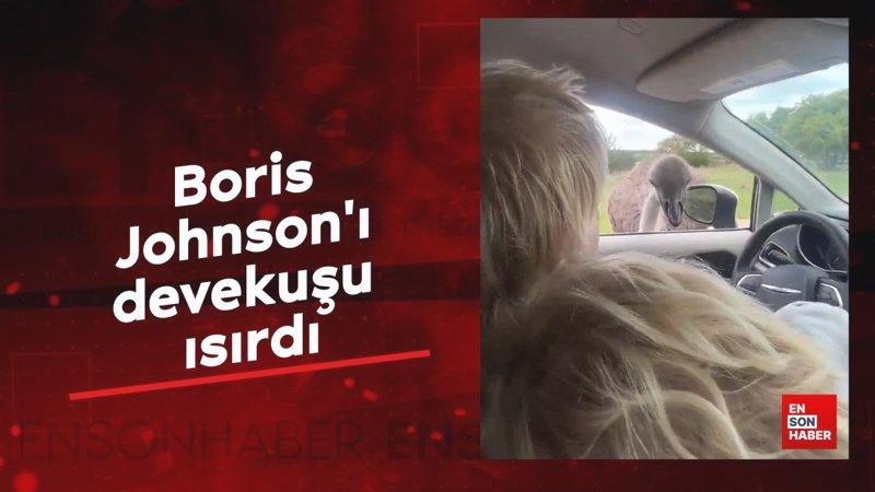Boris Johnson’ı devekuşu ısırdı