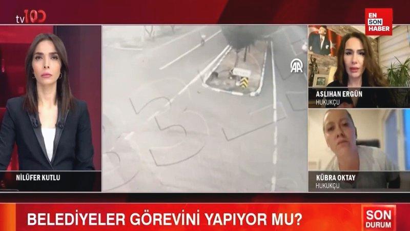 Canlı yayında hukukçular başıboş köpek sorununu tartıştı