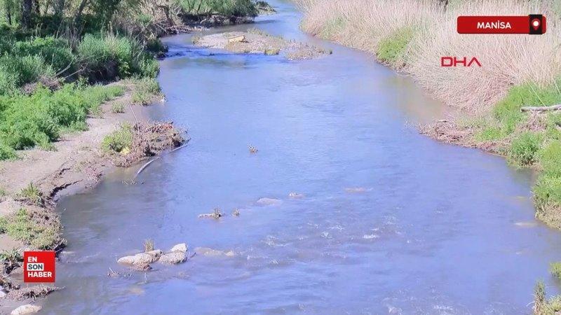 Gediz Nehri’nde bitmeyen kirlilik
