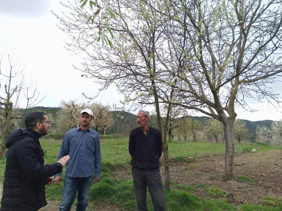 Gölpazarı’nda Tarımda Don Riski ve Önlemler