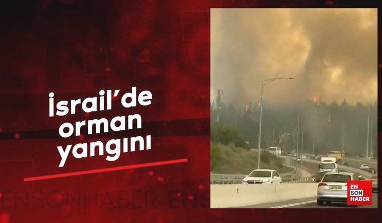 İsrail’de orman yangını