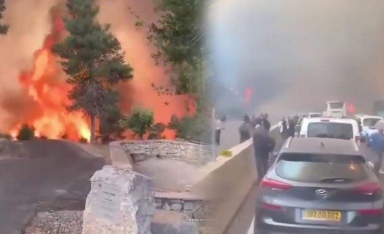 İsrail’deki orman yangınları, ulusal bayramın iptal edilmesine sebep oldu: Yerleşim yerleri boşaltıldı