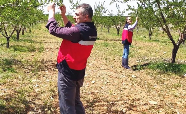 Kütahya’da Zirai Don Kontrolleri