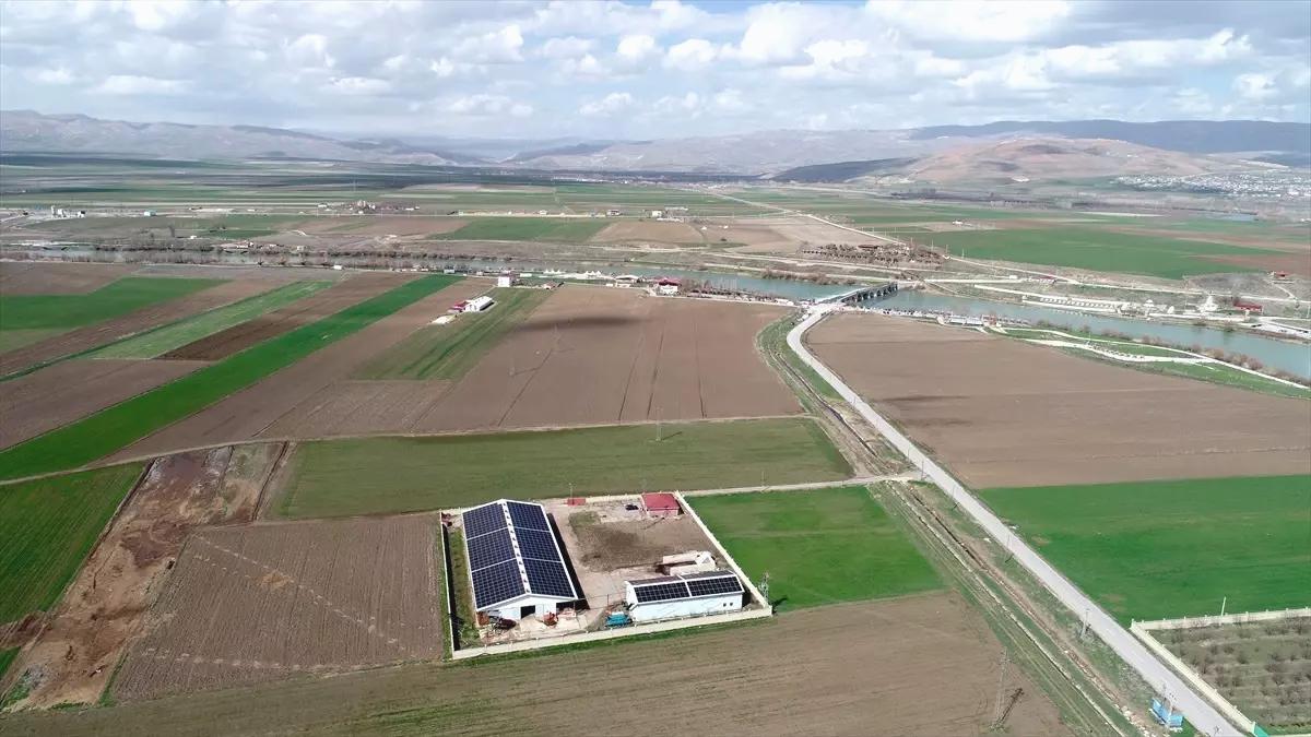 Muş’ta Güneş Enerjisi ile Modern Çiftlik