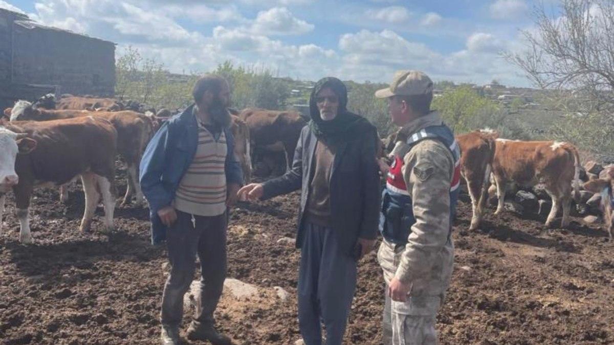 Şanlıurfa’da çalınan büyükbaşlar sahibine kavuştu