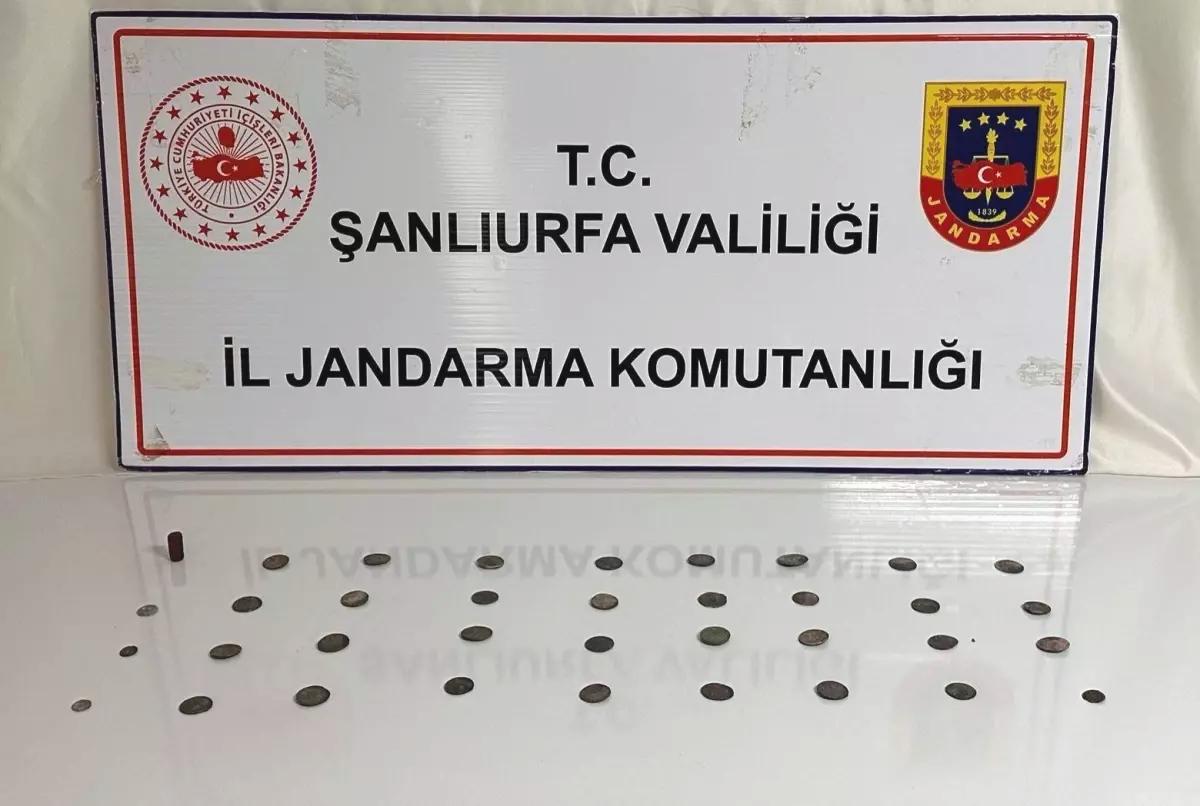 Şanlıurfa’da Tarihi Eser Operasyonu