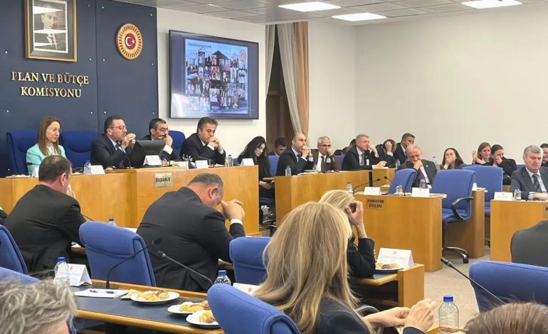 Yangın Faciası: Aileler TBMM’de Yaşadıklarını Anlattı