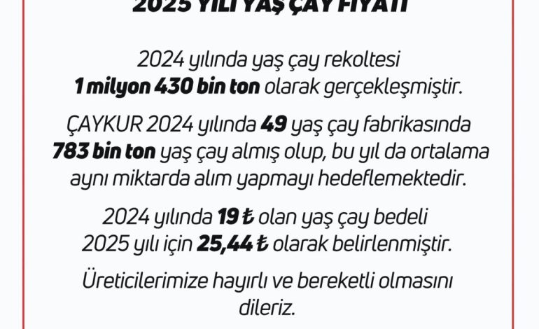 2025 Yaş Çay Alım Fiyatı Belirlendi