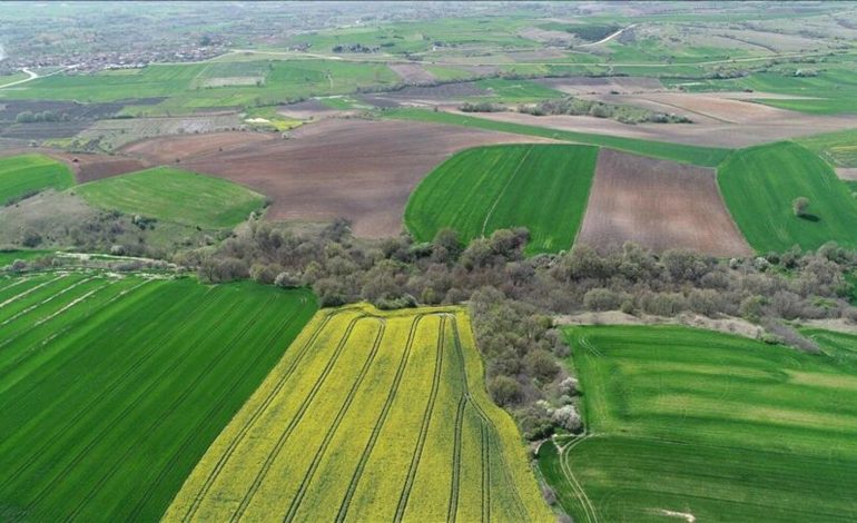 5 milyon kişiye tapu verilecek: 2B arazileri düzenlemesinde 3 ay detayı