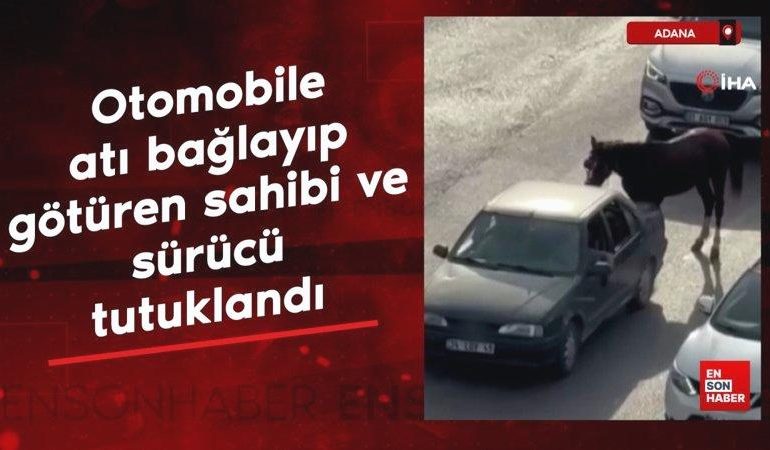 Adana’da otomobile atı bağlayıp götüren sahibi ve sürücü tutuklandı