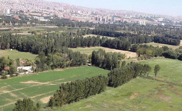Adını da sattılar