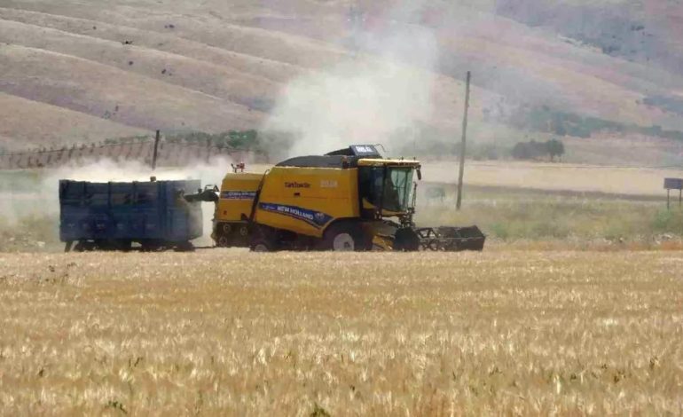 Adıyaman’da Hububat Hasadı Başladı
