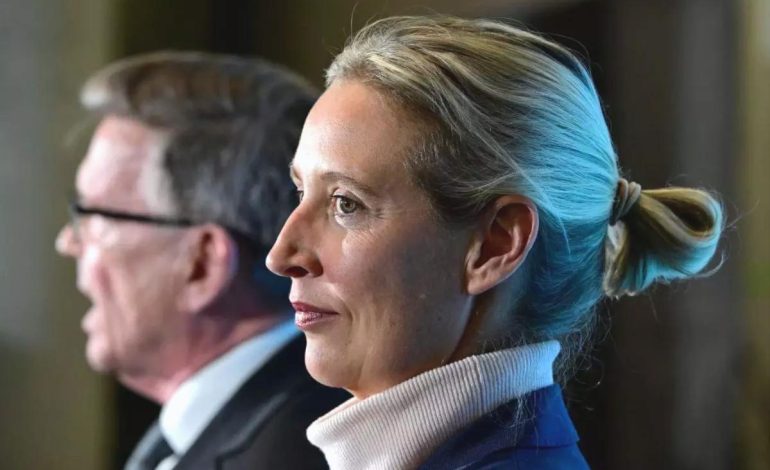 AfD Aşırı Sağcı Olarak İlan Edildi