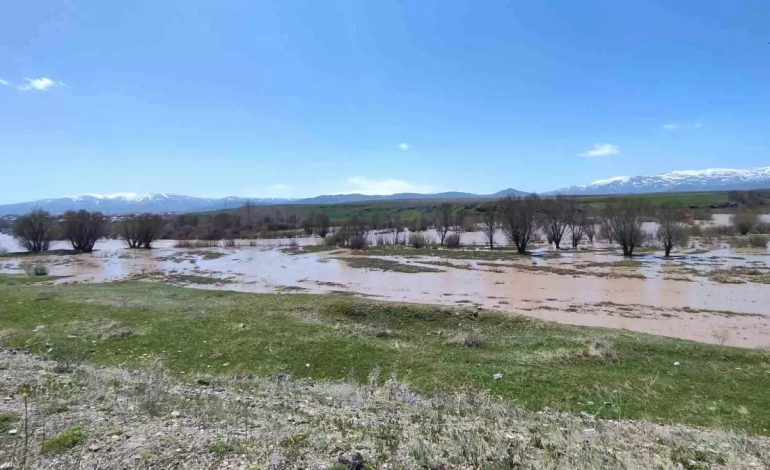 Ağrı’da Murat Nehri Taştı