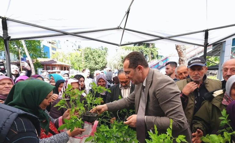 Akçaabat’ta 10 Bin Fide Ücretsiz Dağıtıldı