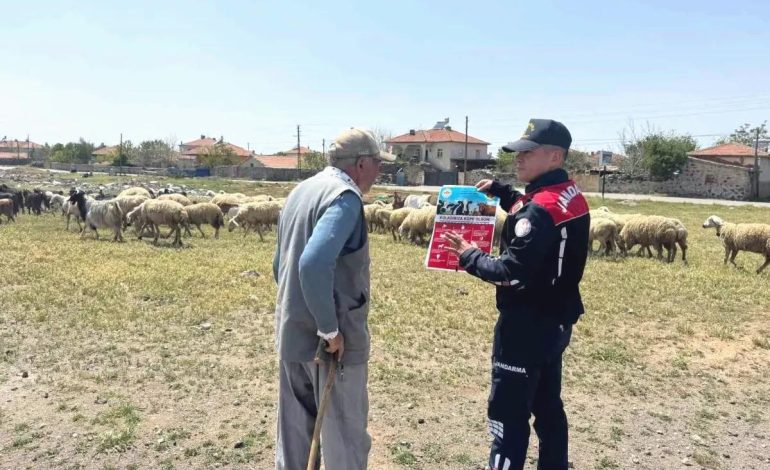 Aksaray’da Kurban Bayramı Hazırlıkları