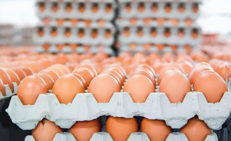Almanya’da kahverengi yumurta satılması kısıtlandı