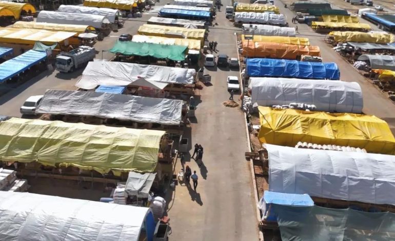 Ankara’da Kurbanlık Denetimleri Artırıldı
