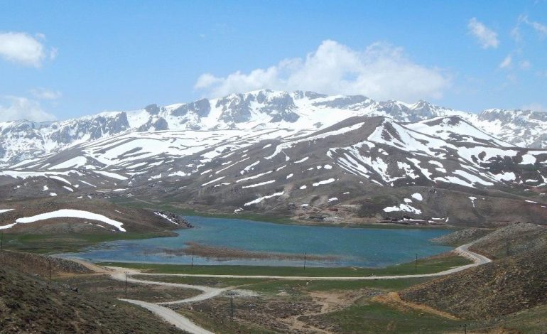 Antalya’da Eğrigöl Yaylası’nda ilk defa çiçekler açmadı