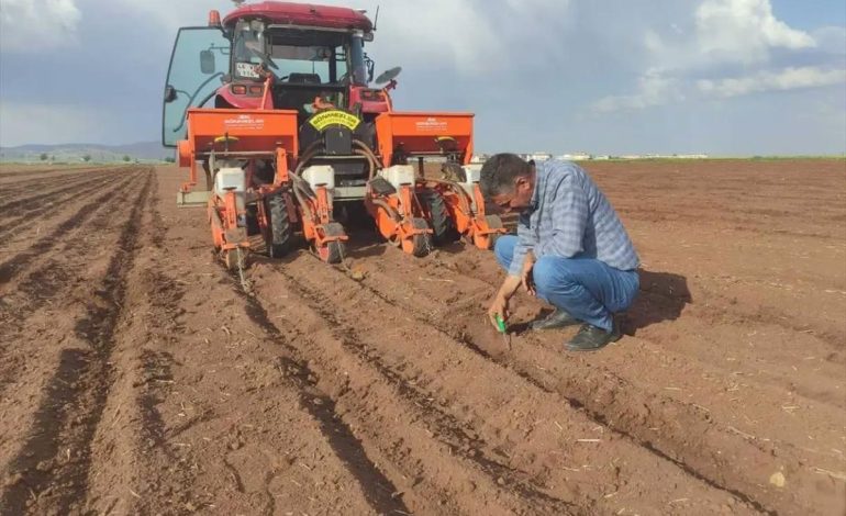 Araban’da Pamuk Ekimi Başladı