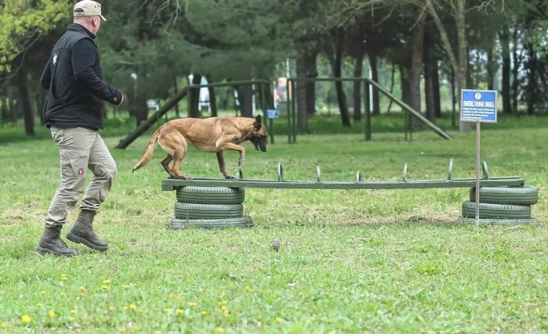 Askeri Köpekler TSK’nın Yanında