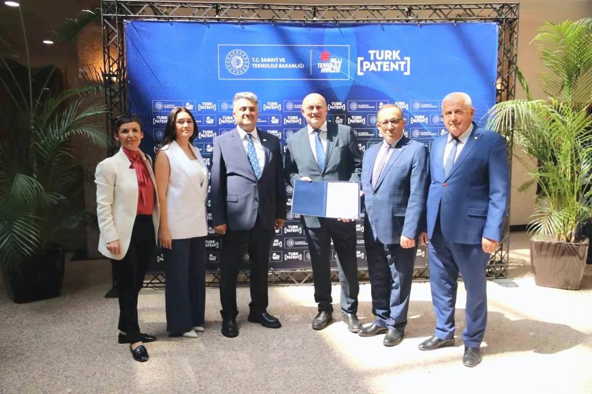 Aydın Memecik Zeytini AB Tescili Aldı