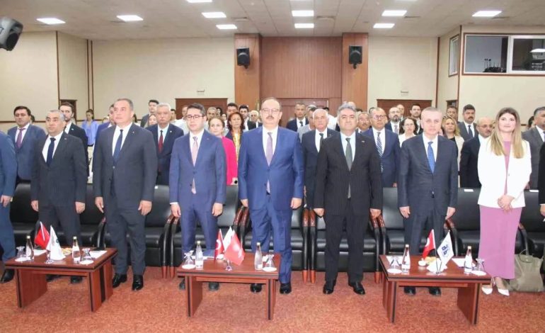 Aydın Memecik Zeytinyağı Küresel Marka Oluyor