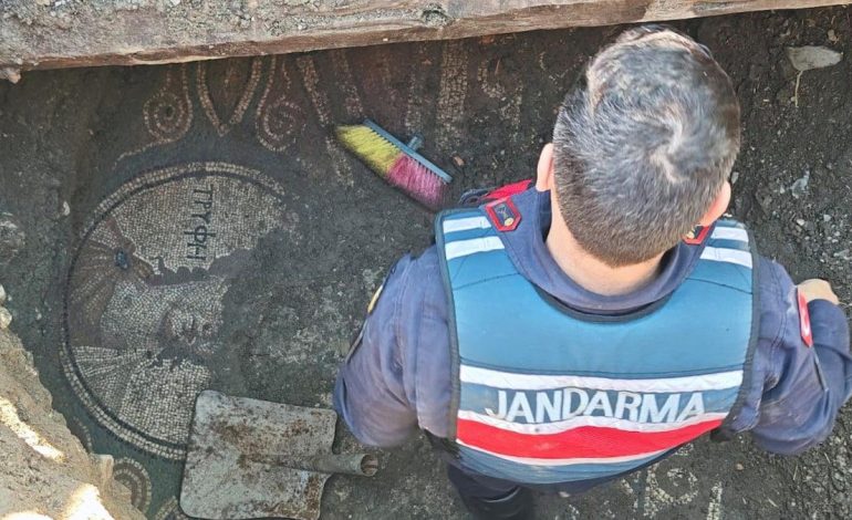 Bağ evinin bahçesinden çıktı, Jandarma harekete geçti