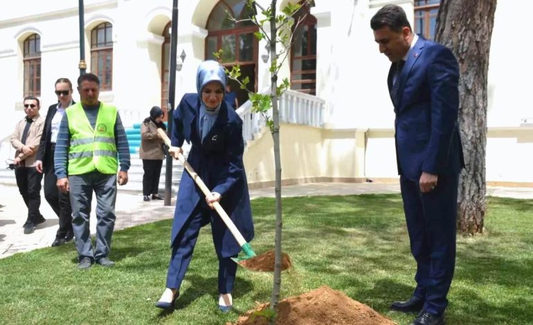 Bakan Göktaş, Bilecik’te Çınar Fidanı Dikti