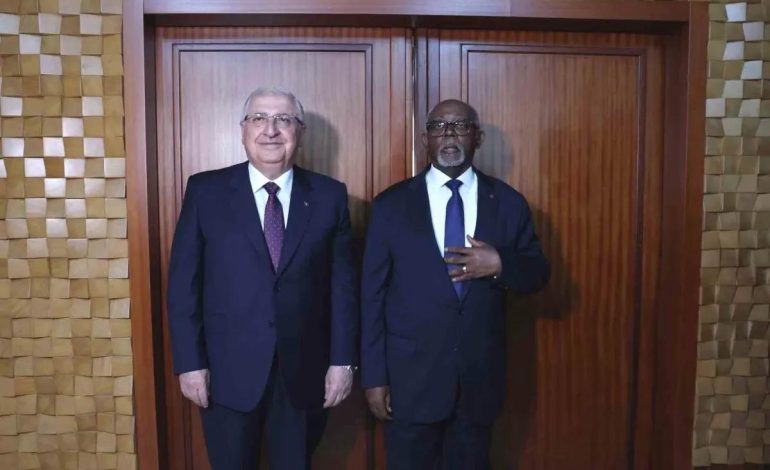Bakan Güler Kamerun’da