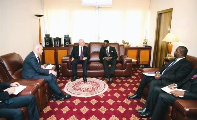 Bakan Güler Kamerun’da Görüştü
