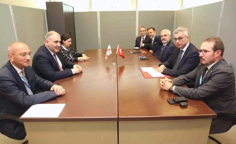 Bakan Memişoğlu, Gürcistanlı Mevkidaşıyla Görüştü