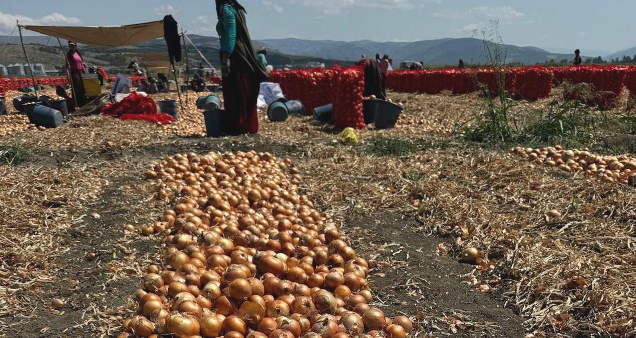 Bakanlık çözmezse ürünleri sökeriz
