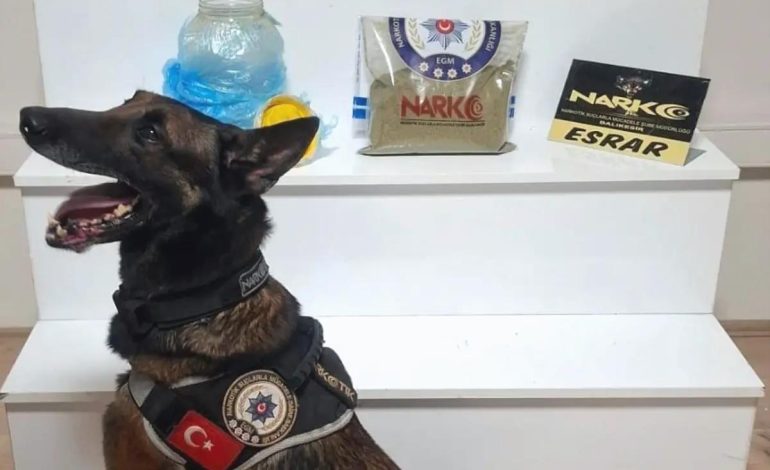 Balıkesir’de Uyuşturucu Operasyonu