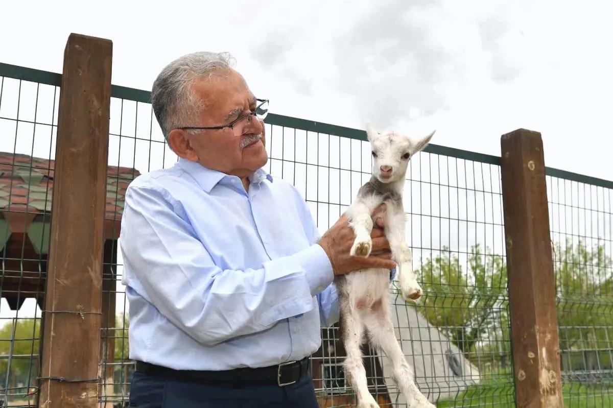 Başkan Büyükkılıç, Kayseri Hayvanat Bahçesi’ni Ziyaret Etti