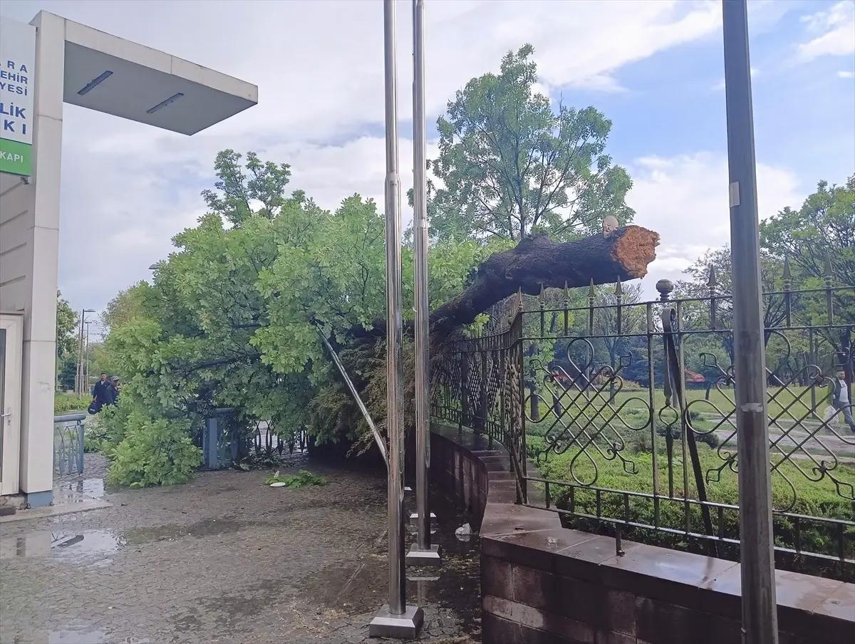 Başkentte Fırtına ve Sağanak Yağış