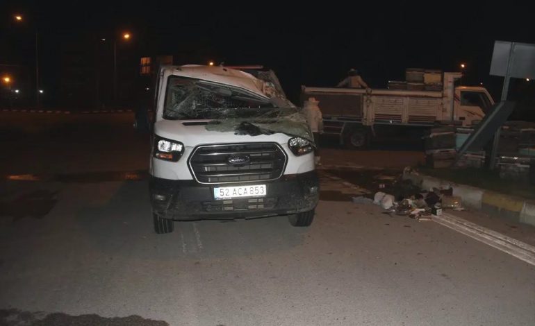 Beyşehir’de Devrilen Kamyonetteki Arılar Polisi Soktu