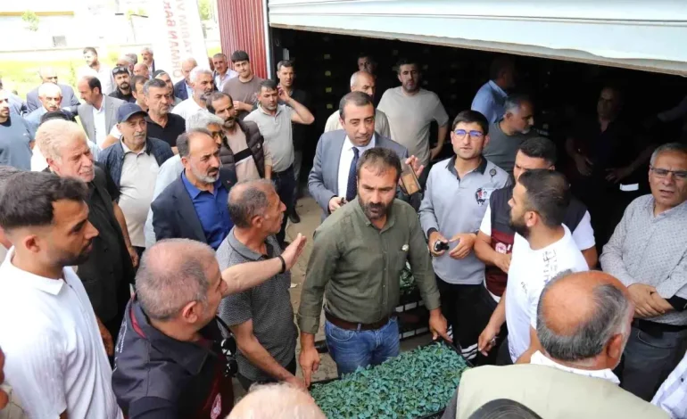 Bingöl’de 442 Bin Sebze Fidesi Dağıtıldı