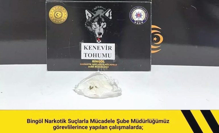Bingöl’de Narkotik Uygulaması