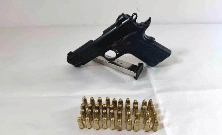 Bingöl’de Silah Operasyonu: 2 Silah Ele Geçirildi