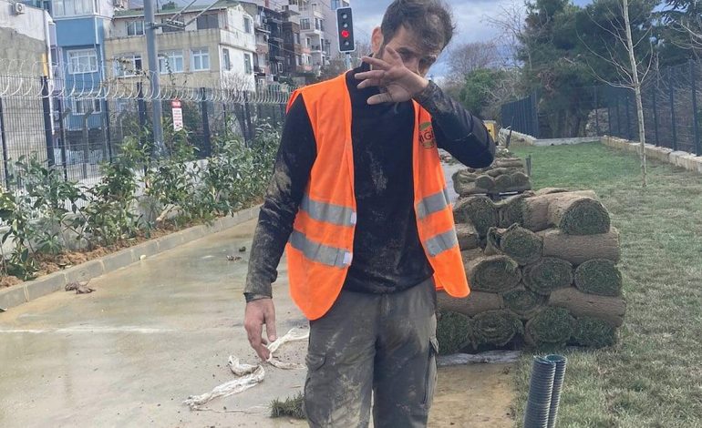 Bir zeytini bölerek yiyen en yoksul megaloman