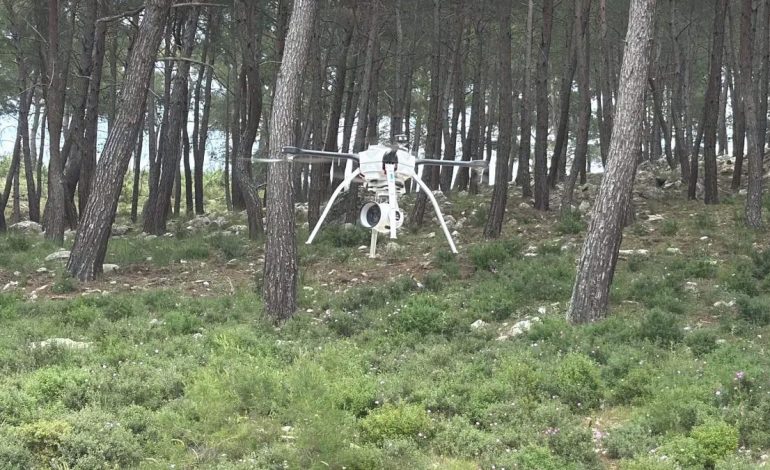 Bodrum’da Orman Yangınlarıyla Mücadele İçin Denetim Başlatıldı