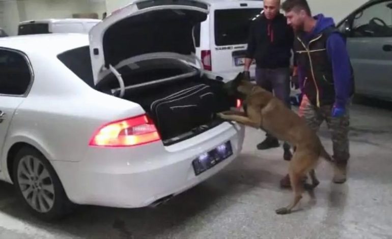Bolu’da 9 Kaçakçılık Operasyonu