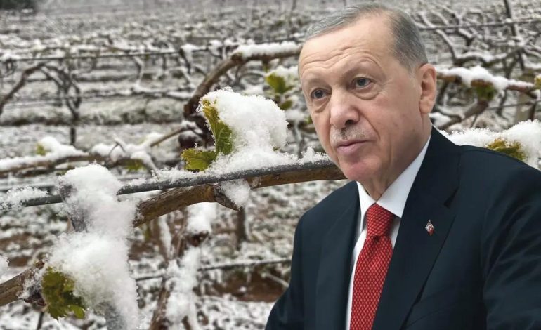 “Bu yıl sıkıntı yaşayacağız” diyen Cumhurbaşkanı Erdoğan, o ürünleri tek tek saydı