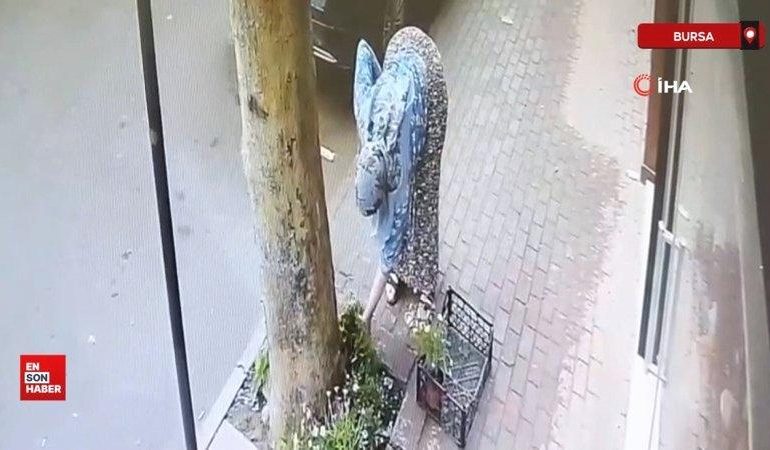 Bursa’da dükkanın önüne koyulan çiçekler çalındı