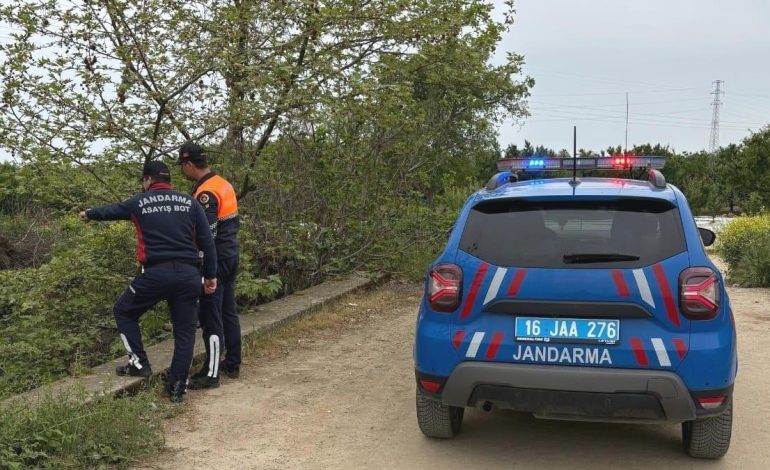 Bursa’da kaçak avcılık operasyonu