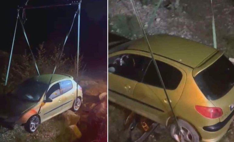 Bursa’da köpeğe çarpmamak için manevra yapan sürücü şarampole uçtu