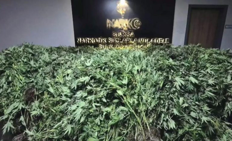 Bursa’da Uyuşturucu Operasyonu: 41 Gözaltı